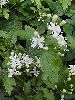 P7281243_l.JPG