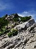DSC0015_l.JPG