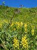 P8021248_l.JPG