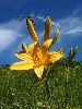 P8021264_l.JPG