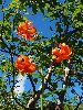 P8021269_l.JPG