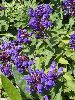P8021270_l.JPG