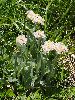 P8021276_l.JPG