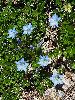 P8021279_l.JPG