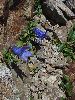 P8021287_l.JPG