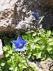P8021289_l.JPG