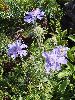 P8021307_l.JPG