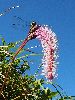 P8021321_l.JPG