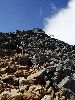 DSC0015_l.JPG