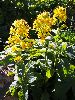 P8101388_l.JPG