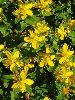P8101395_l.JPG