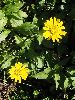 P8101414_l.JPG