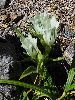 P8101426_l.JPG
