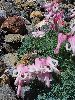 P8101429_l.JPG