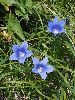 P8101432_l.JPG