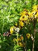DSC0023_l.JPG