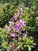 P8171488_l.JPG