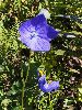 P8171492_l.JPG