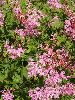 P8171505_l.JPG