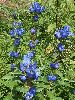 P8171512_l.JPG