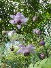 P8171518_l.JPG