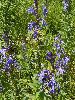 P8171531_l.JPG