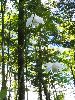 P8171538_l.JPG