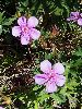 P8171551_l.JPG
