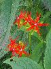P8171556_l.JPG