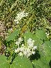 P8171566_l.JPG