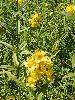 P8171576_l.JPG