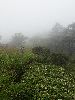 DSC0002_l.JPG