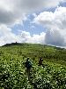 DSC0037_l.JPG