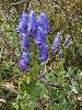 P8231599_l.JPG