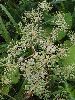 P8231604_l.JPG