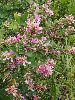 P8231605_l.JPG