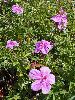 P8231615_l.JPG