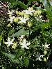P8231621_l.JPG