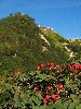 P9061693_l.JPG