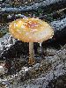 P9061700_l.JPG