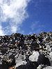 DSC0007_l.JPG