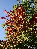 DSC0007_l.JPG