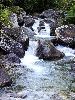 DSC0011_l.JPG