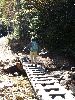 DSC0016_l.JPG