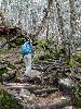 DSC0020_l.JPG