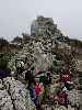 DSC0035_l.JPG