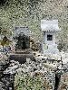 DSC0040_l.JPG