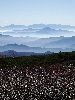 DSC0013_l.JPG