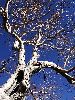 DSC0034_l.JPG