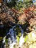 DSC0079_l.JPG